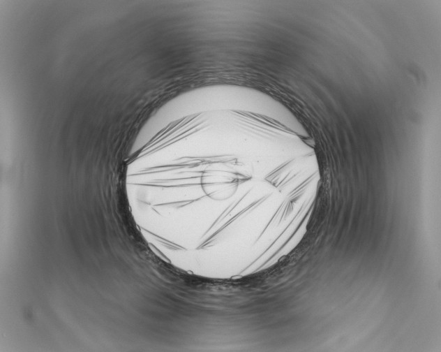 X0000111640223200908281204