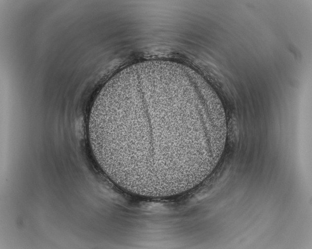 X0000111640224200908281204