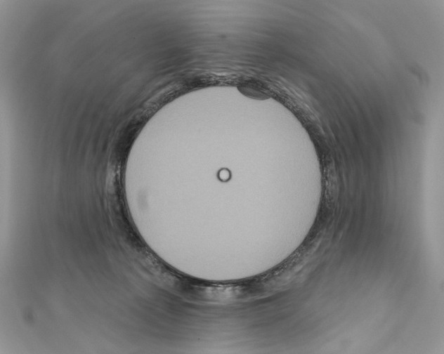 X0000111640225200908281204