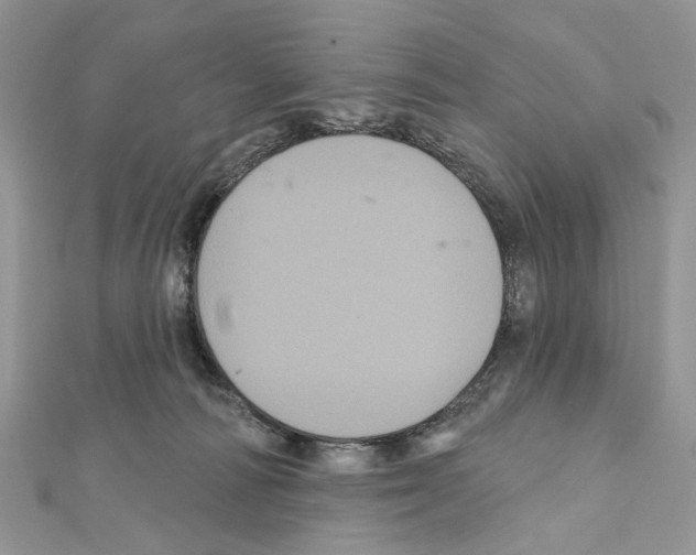 X0000111640226200908281204
