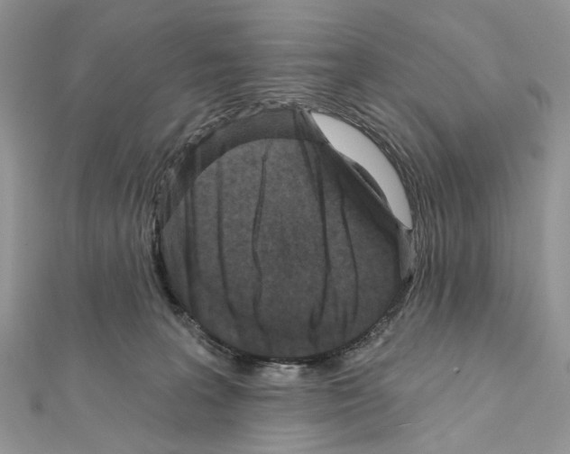 X0000111640227200908281204