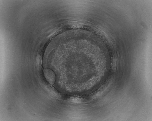 X0000111640228200908281204