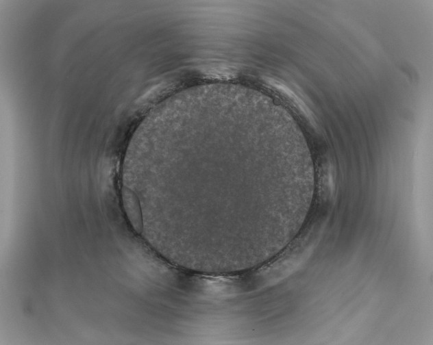 X0000111640229200908281204