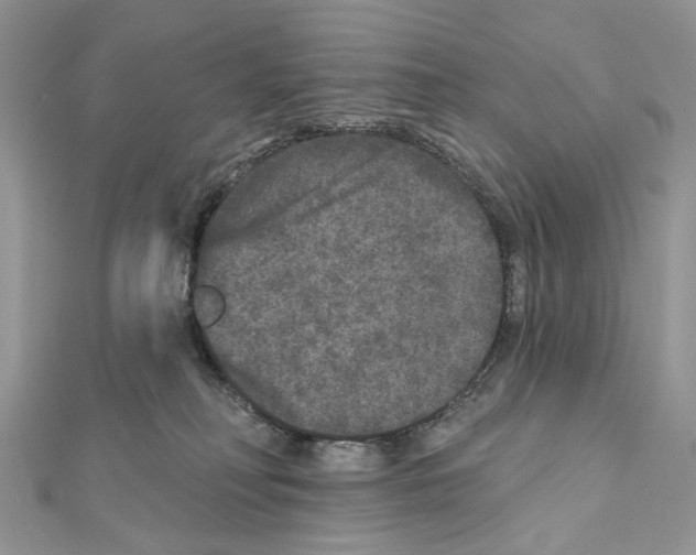 X0000111640230200908281204