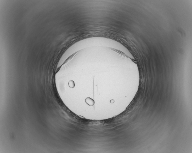 X0000111640231200908281204