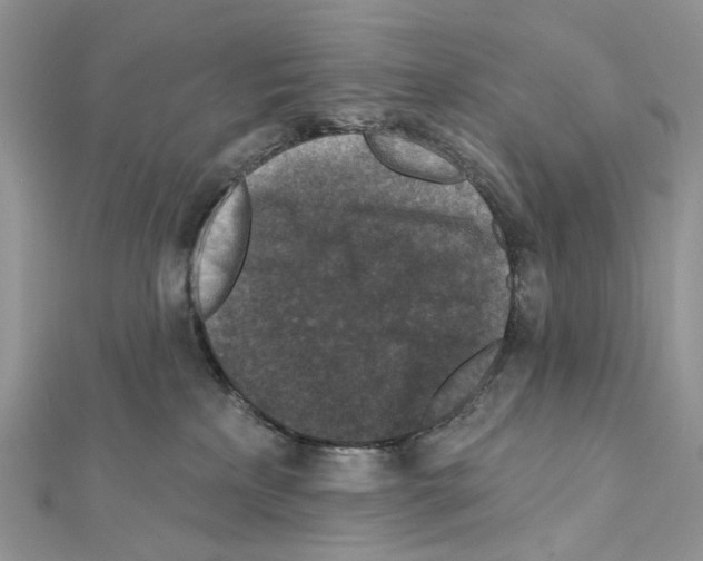 X0000111640233200908281204