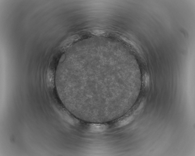 X0000111640234200908281204