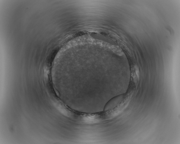 X0000111640235200908281204