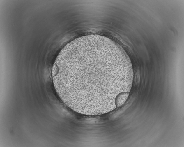 X0000111640236200908281204