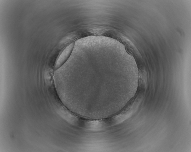 X0000111640237200908281204