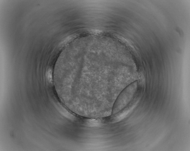 X0000111640238200908281204