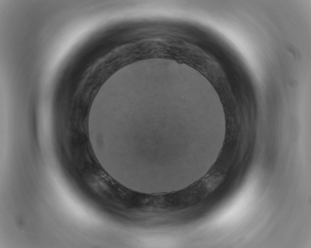X0000111640239200908281204