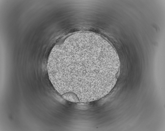X0000111640240200908281204