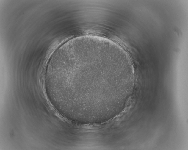 X0000111640241200908281203