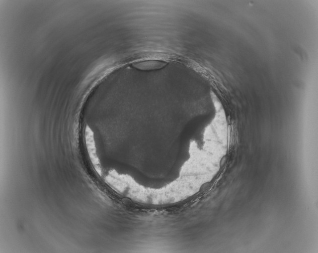 X0000111640243200908281203