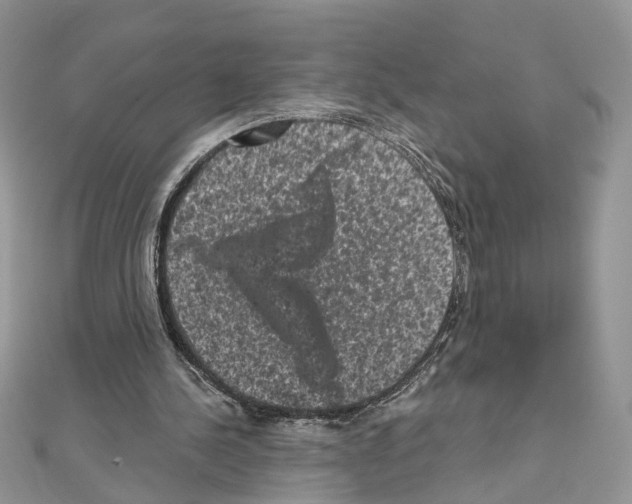 X0000111640244200908281203