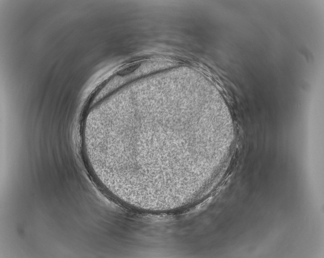 X0000111640245200908281203