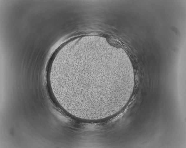 X0000111640246200908281203