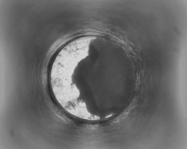 X0000111640247200908281203