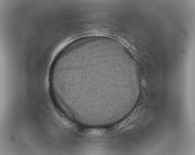 X0000111640248200908281203