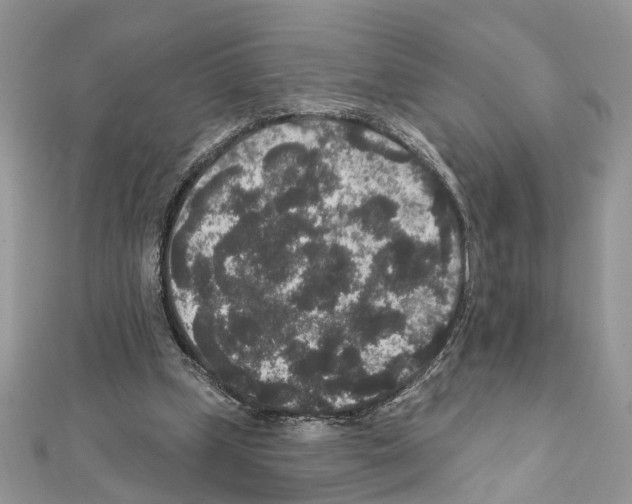 X0000111640249200908281203