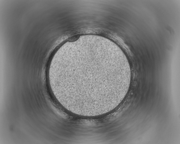 X0000111640250200908281203