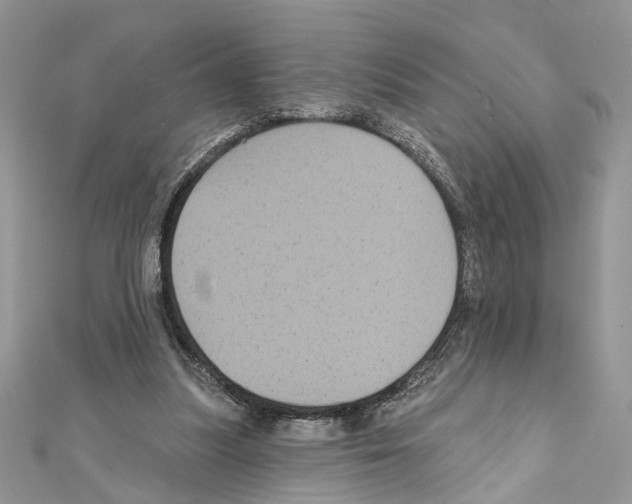 X0000111640251200908281203