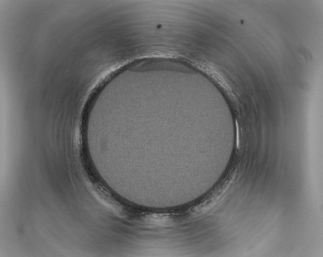 X0000111640252200908281203