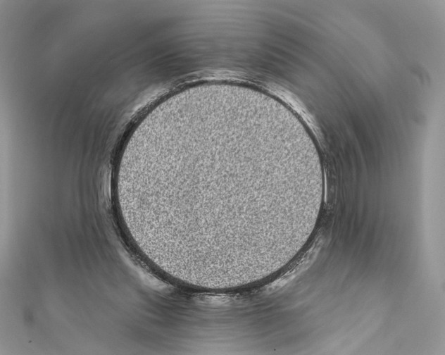 X0000111640253200908281203