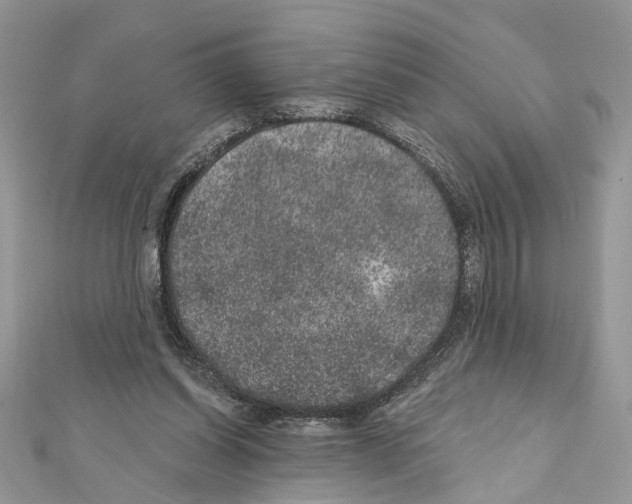 X0000111640254200908281203