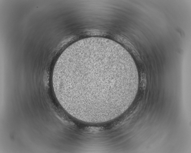 X0000111640255200908281203