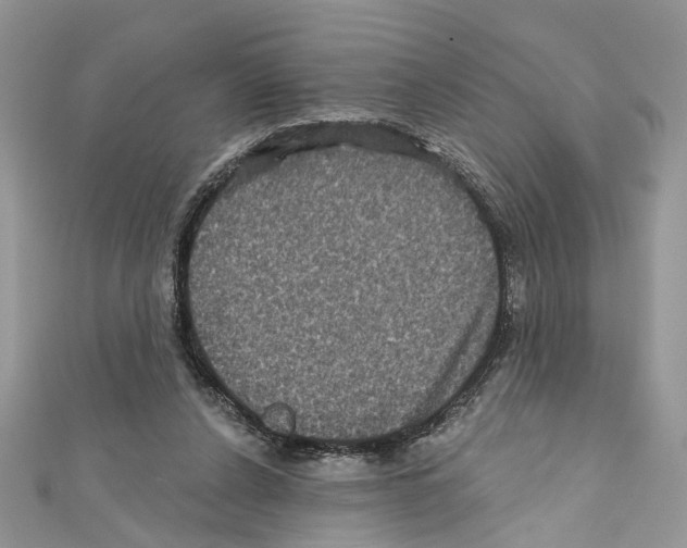 X0000111640256200908281203