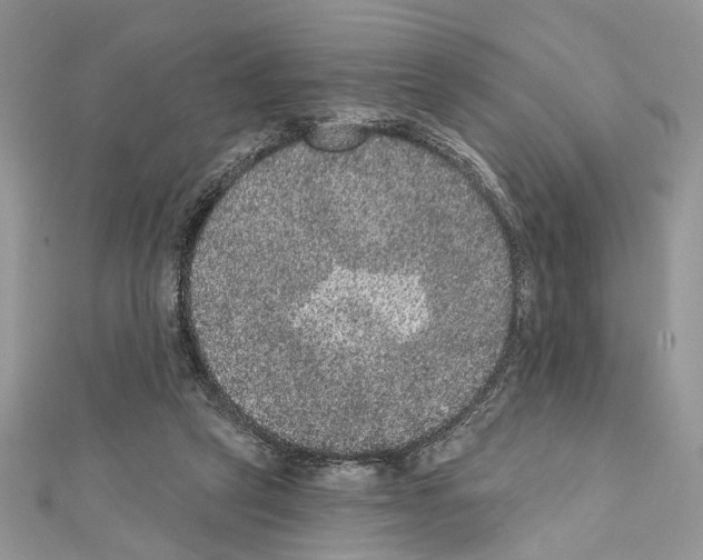 X0000111640257200908281203