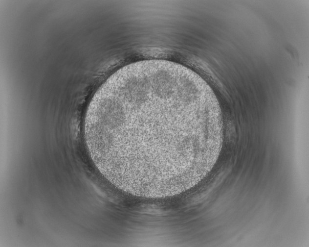 X0000111640259200908281203