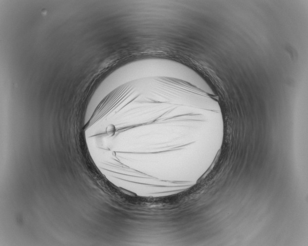 X0000111640260200908281203