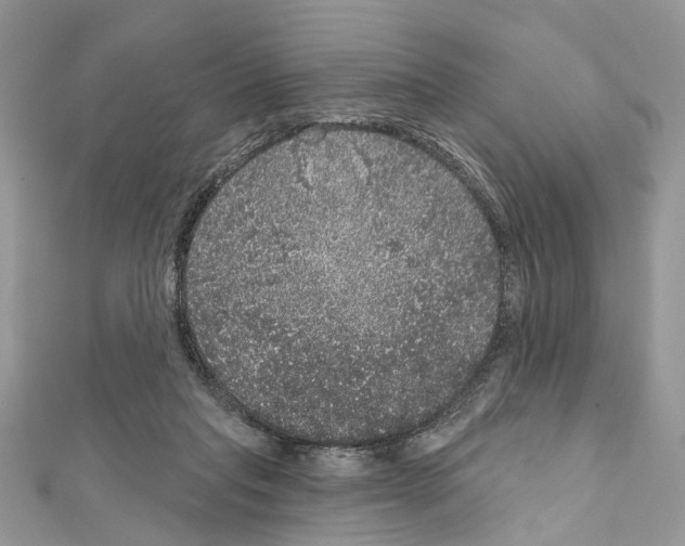 X0000111640261200908281203