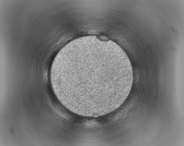 X0000111640262200908281203