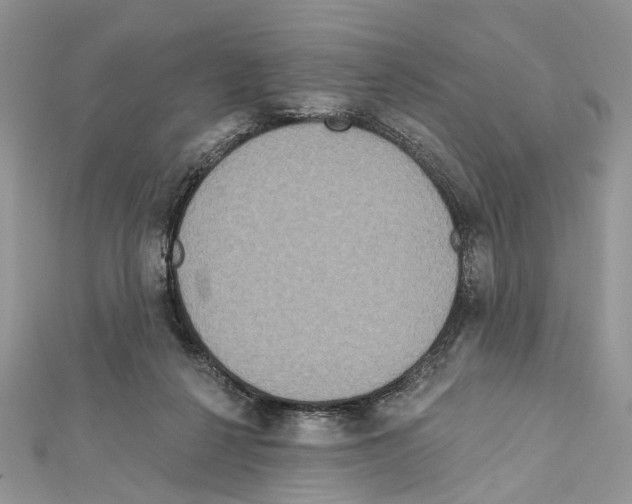 X0000111640264200908281203