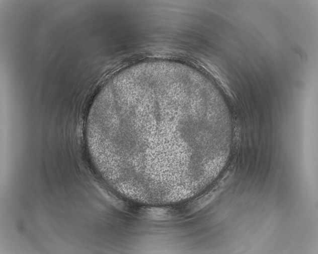 X0000111640265200908281204