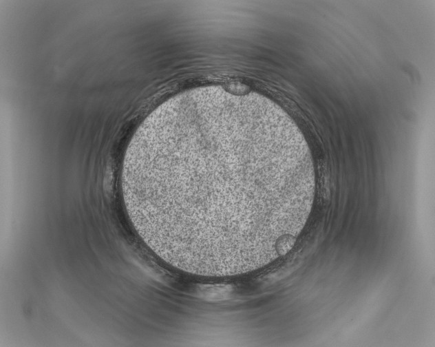 X0000111640266200908281204