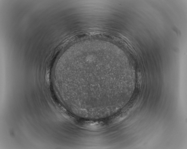 X0000111640267200908281204
