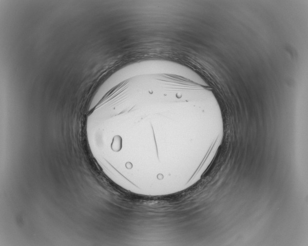 X0000111640268200908281204