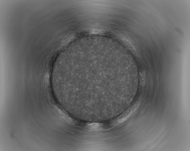 X0000111640269200908281204