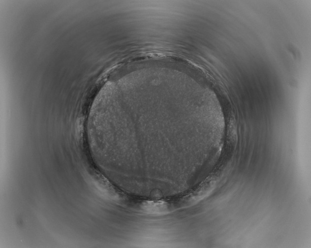 X0000111640271200908281204
