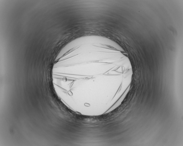 X0000111640272200908281204