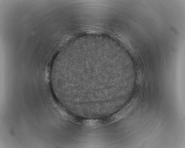 X0000111640273200908281204