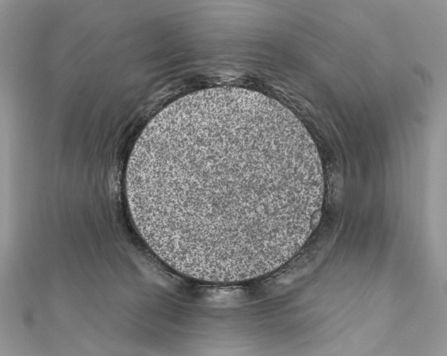 X0000111640274200908281204