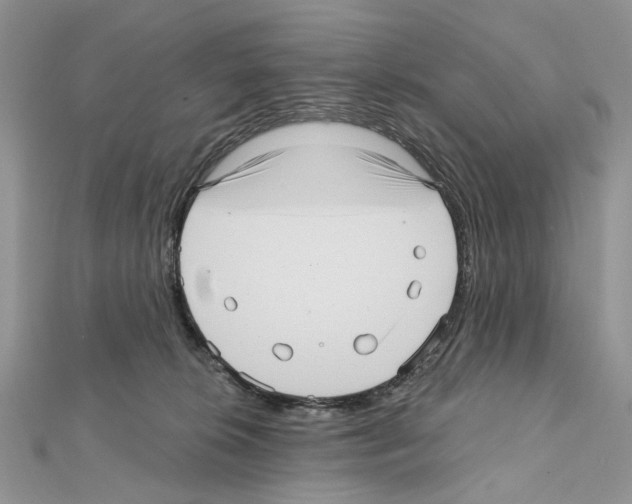 X0000111640276200908281204