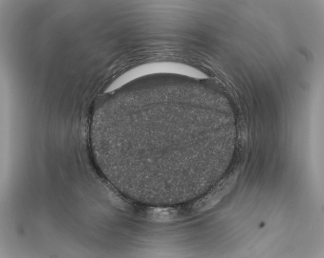 X0000111640277200908281204