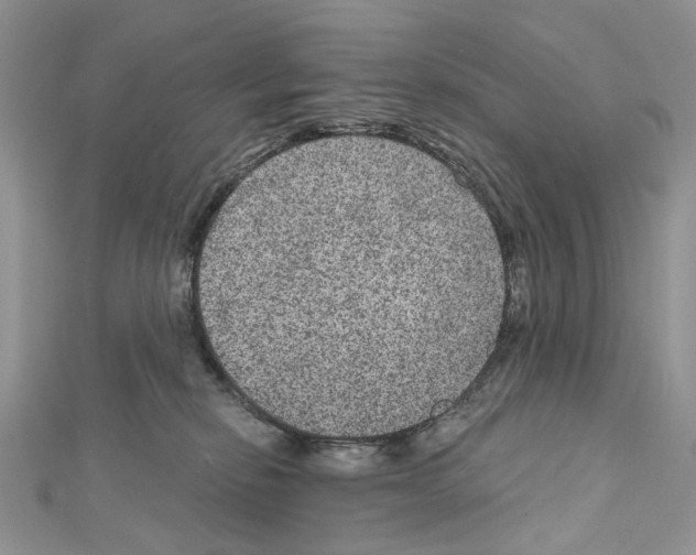 X0000111640278200908281204